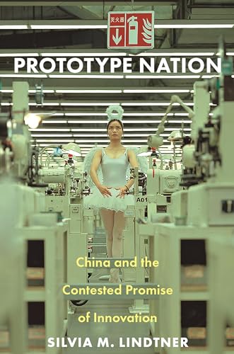 Prototype Nation: China and the Contested Promise of Innovation (Princeton Studies in Culture and Technology) von Princeton University Press